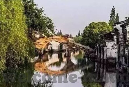 成人拉丁舞教学视频教程-成人拉丁舞，从零开始，舞动生活的艺术
