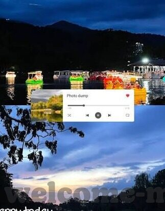 大象视频官方主页-探索大象视频官方主页，内容丰富、功能强大的娱乐新视界