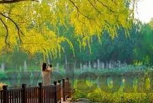 国产91精品人妻互换麻豆-深度探索，在国产影视的迷宫中寻觅——91精品系列与人妻互换麻豆的多元解读