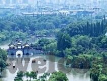 麻豆app直播-麻豆路上的新视角，探索直播互动的无限可能