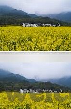 麻豆传媒不违法吗-对话灰色地带，深入理解麻豆传媒与法律间的微妙界限