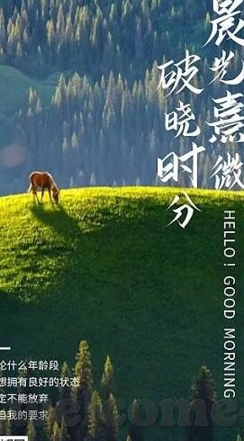 麻豆国产果冻传媒-麻豆国产果冻传媒，一个文化与创意的交汇点