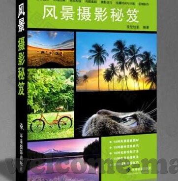 日韩伦理电影在2017韩国免费-2017年日韩伦理电影在韩国的免费现象，文化、社会与网络的影响