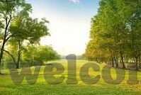 糖心vlog官网i-糖心vlog官网i——记录生活，分享独特——探访个人生活与创意灵感的交汇处