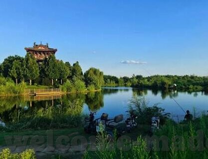亚洲日韩国产欧美av-探索亚洲影视文化的多元魅力，日韩与欧美AV的独特视角